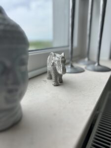 Elefanten i rummet