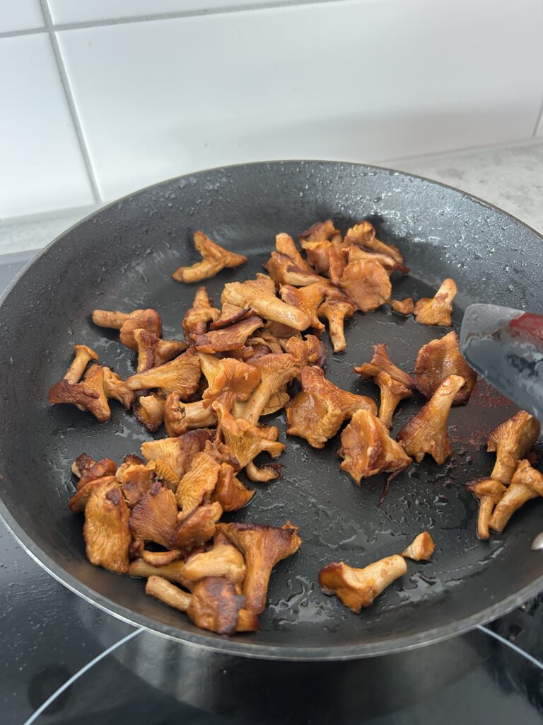 Kantareller